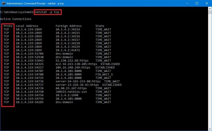 Netstat tcp protocol