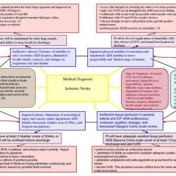 Copd with pneumonia hesi case study