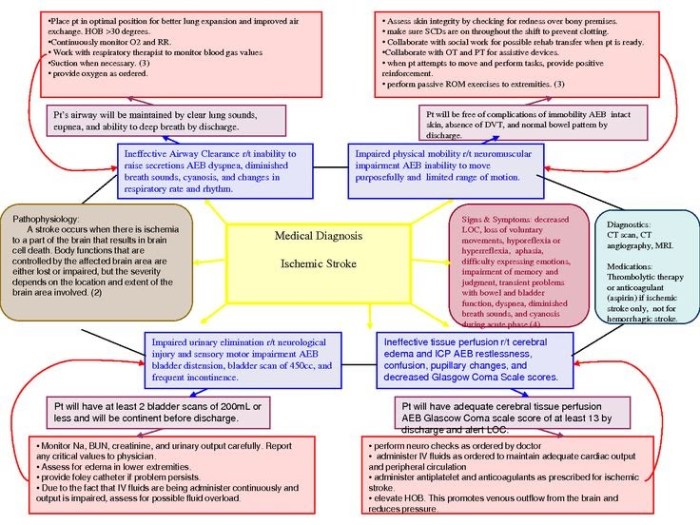 Copd with pneumonia hesi case study