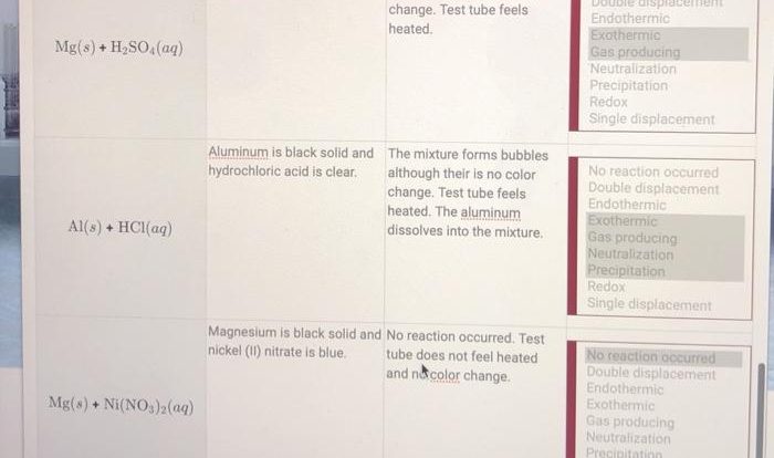 Displacement single lab reactions reaction copper zinc sulfate explained schoolworkhelper two observe purpose different