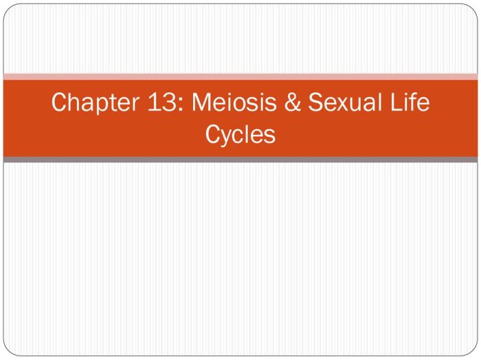 Chapter 13 meiosis and sexual life cycles