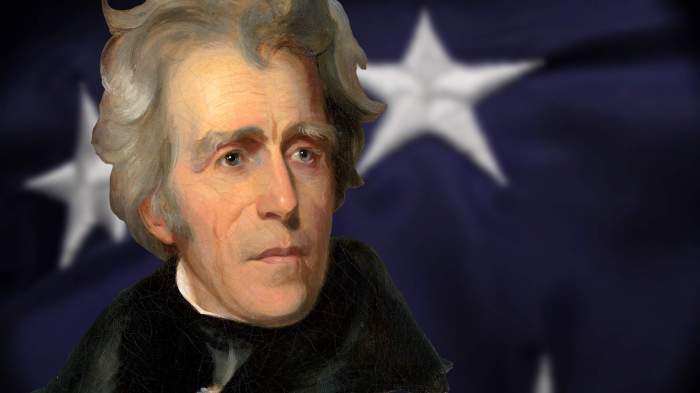 How democratic was andrew jackson dbq