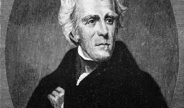 How democratic was andrew jackson dbq