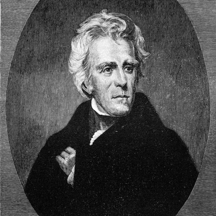 How democratic was andrew jackson dbq