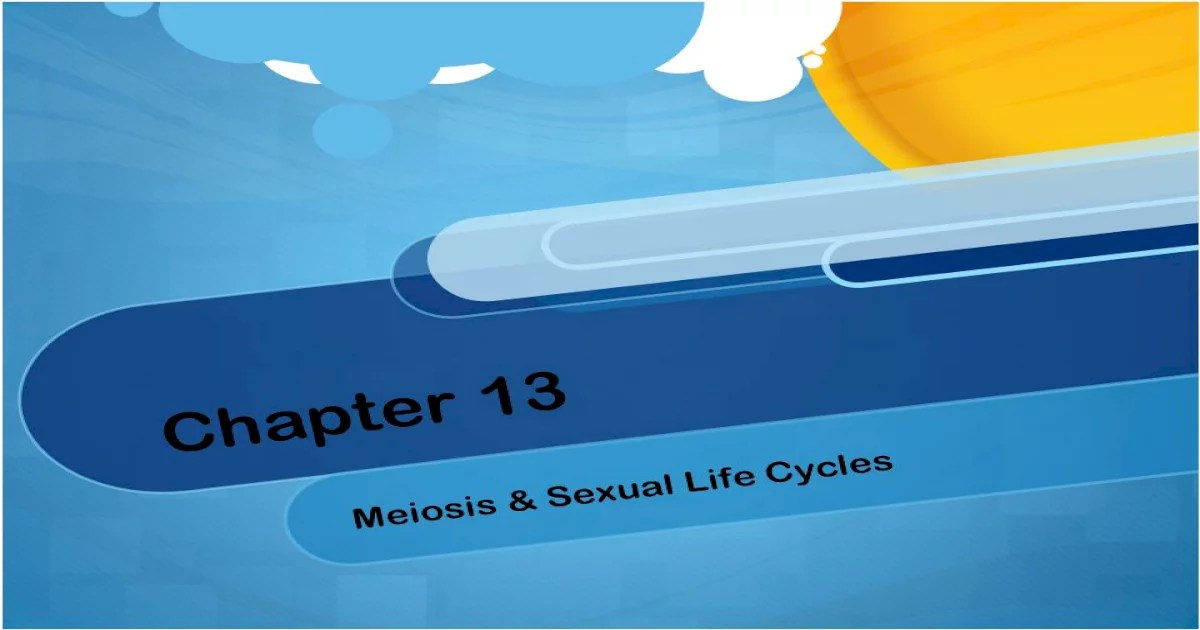 Chapter 13 meiosis and sexual life cycles