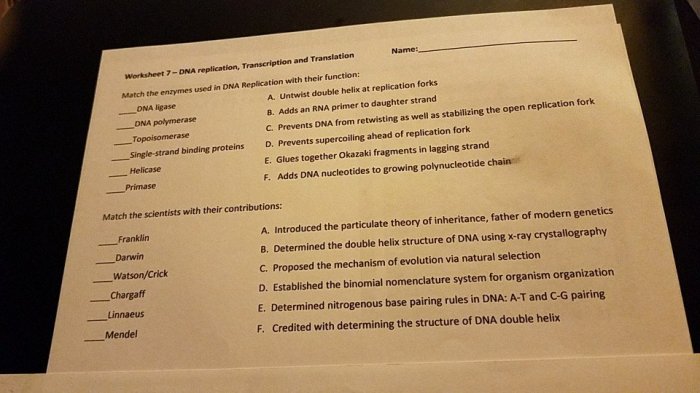 The double helix worksheet answers