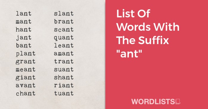 Words that have the suffix ant