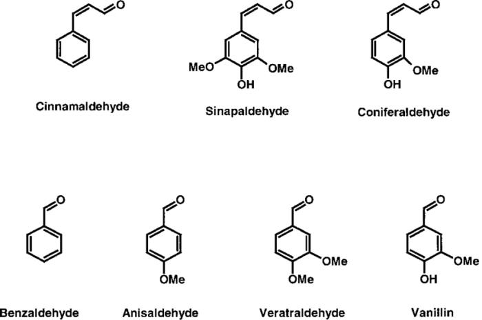 Which functional group does the molecule below have