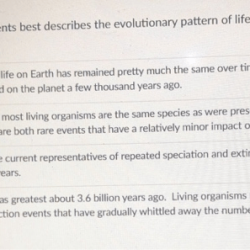 Fossil fossils record geologic example why important time timeline draw earth drawing life over know dinosaurs because