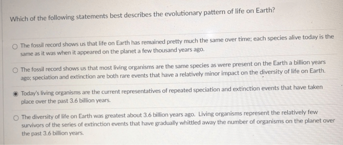 Fossil fossils record geologic example why important time timeline draw earth drawing life over know dinosaurs because